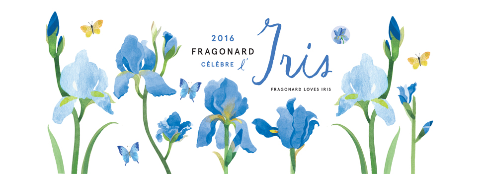 fragonard iris
